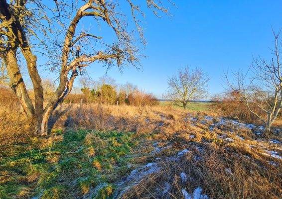 hinterer Grundstücksbereich