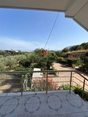 WhatsApp Image 2024-09-06 at 13.20.59 (66).jpeg