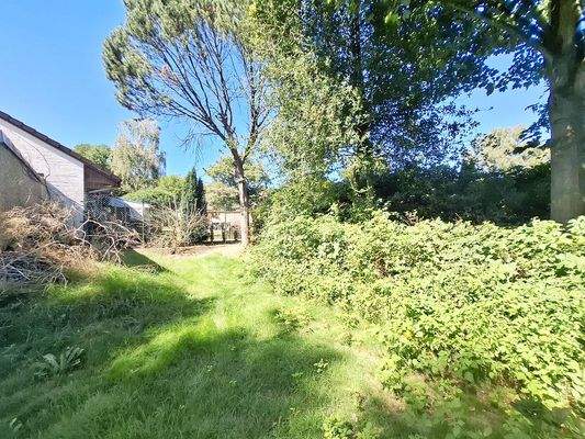 Blick in den Garten Bild 5