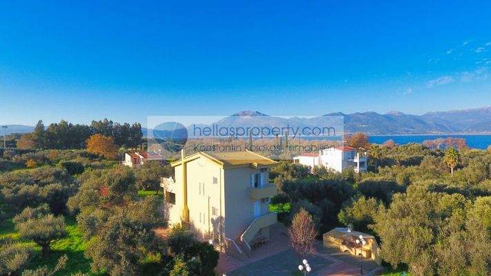 d70839a679e04660a1d35d91fe1fe252-original