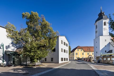 Miesenbach bei Birkfeld Wohnungen, Miesenbach bei Birkfeld Wohnung mieten