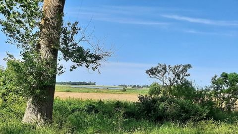 Ribnitz-Damgarten OT Langendamm Grundstücke, Ribnitz-Damgarten OT Langendamm Grundstück kaufen