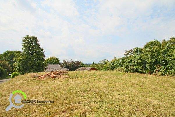 Blick vom oberen Grundstücksteil