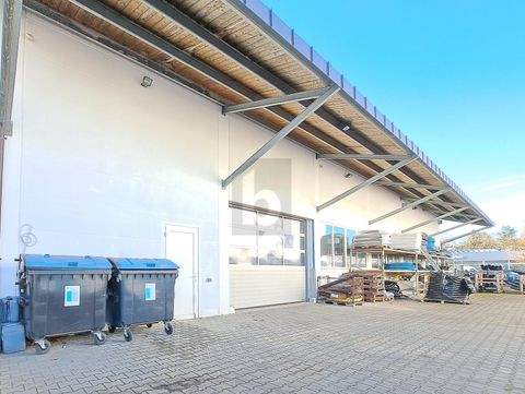 Landsberg am Lech Halle, Landsberg am Lech Hallenfläche