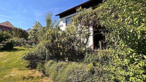 Petershausen Häuser, Petershausen Haus kaufen