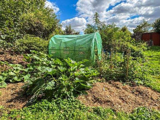 Gewächshaus und Gemüsebeet zur Selbstversorgung