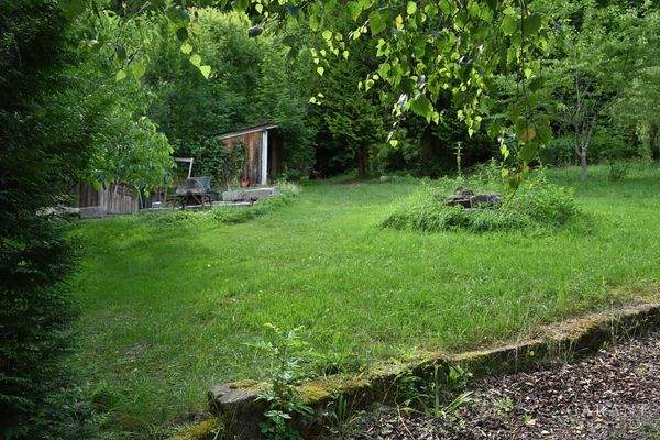 Weiter durch den Garten