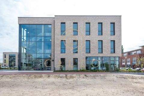 Oldenburg Büros, Büroräume, Büroflächen 