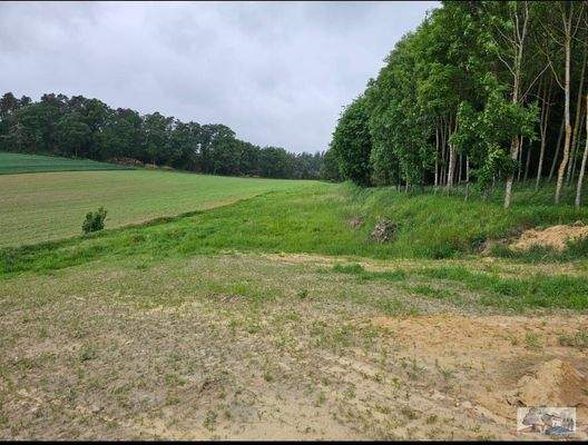 Landwirtschaftsfläche &quot;Axtfeld&quot; Gemarkung Walda