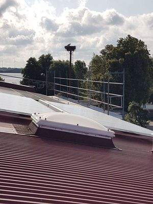 Solarthermie & Storch