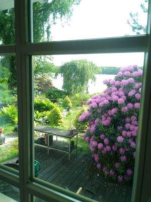 Blick zu See (aus dem Fenster)