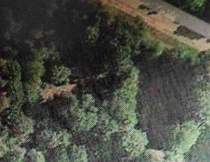 Screenshot 2025-12-01 130853.jpg