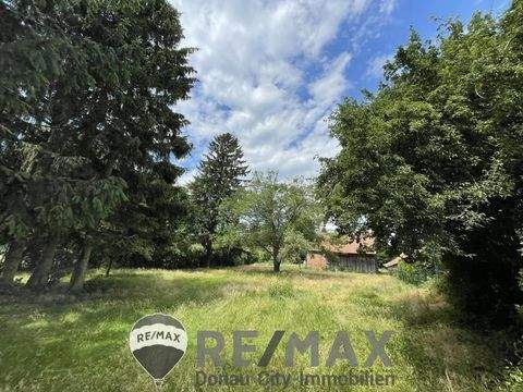 Ollern Grundstücke, Ollern Grundstück kaufen