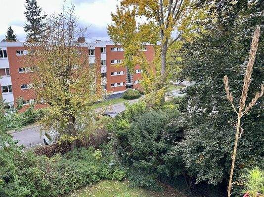 Blick von der Terrasse