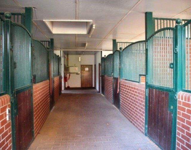 Wohnen mit Pferd! Einmalige Gelegenheit! 2 ZKB Erdgeschosswohnung mit Garten, 56 m² auf Reitanlage - Photo 4
