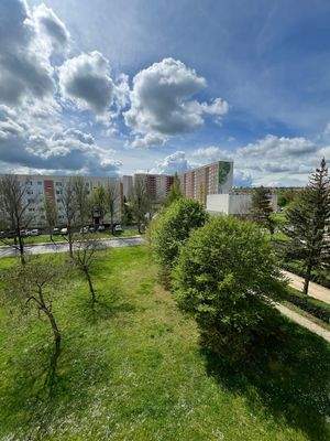 Blick vom Balkon ins Grüne