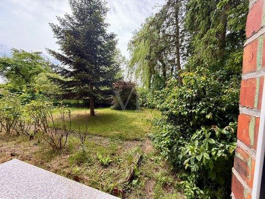 Blick in den Vorgarten