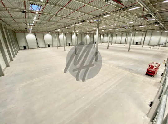 INFOS UNTER: 06171-586000