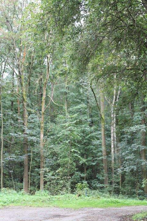  Grundstücke,  Grundstück kaufen