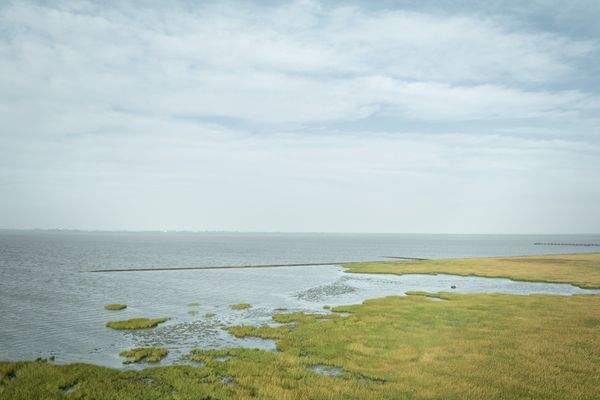 Weltnaturerbe Wattenmeer