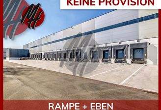 INFOS UNTER: 06171-586000