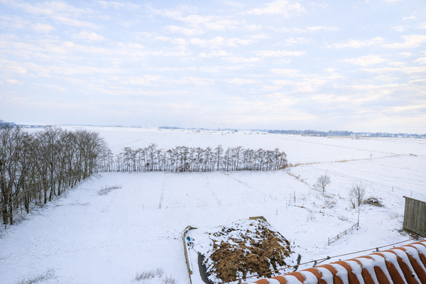 Aussicht aus dem Turm auf Pacht- + Eigenland + Mee