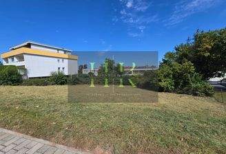 20250807_112840_resized