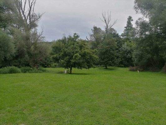 379585685_6681723311949290_857546596090946248_n.jp