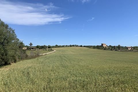 Vilafranca de Bonany Grundstücke, Vilafranca de Bonany Grundstück kaufen