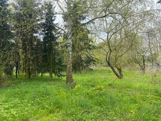 hinterer Grundstücksteil.jpg