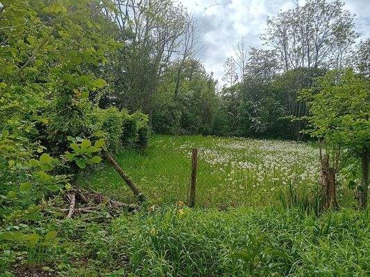 Grundstück umzäunt.jpg