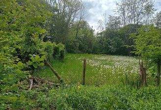 Grundstück umzäunt.jpg