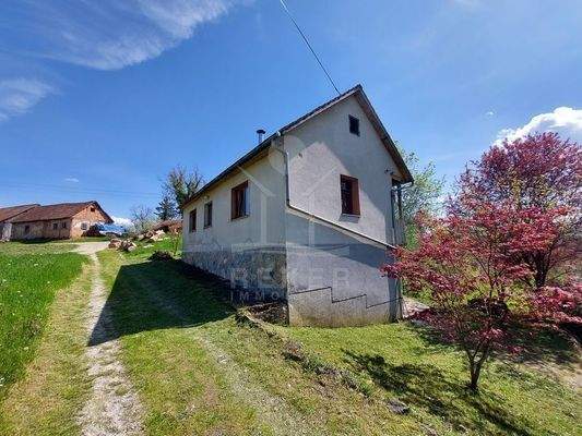 umgeben von grüner Natur 