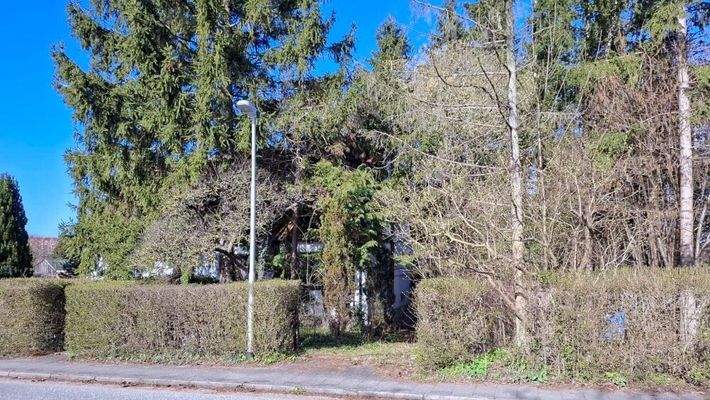 14350 LooseImmo Blick zum Grundstück