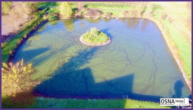 Luftaufnahme Teichanlage