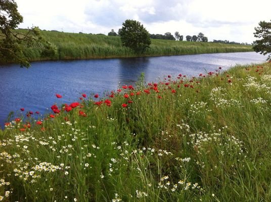 Kanal im Sommer