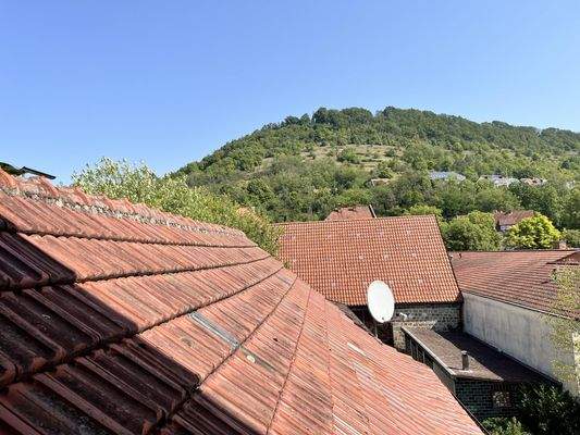 Dächer der Nebengebäude und Ausblick zum Kapellenberg