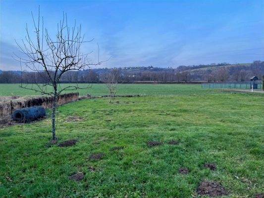 Aussicht ins Wasserschutzgebiet