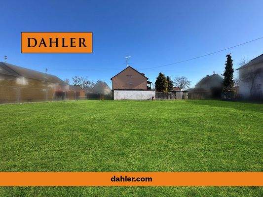 backbone_539404-A_001_WEB