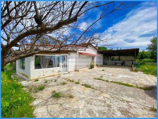 82fb70e1123c4c7b923b1b729d31a075-original