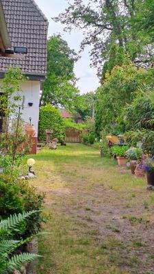 Garten mit Blick zur Straße 