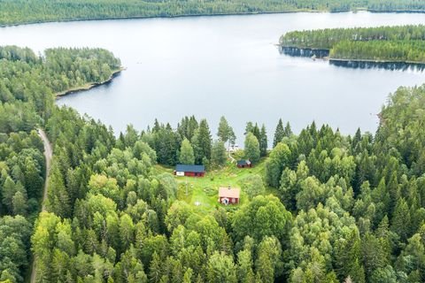 Sunnemo Häuser, Sunnemo Haus kaufen