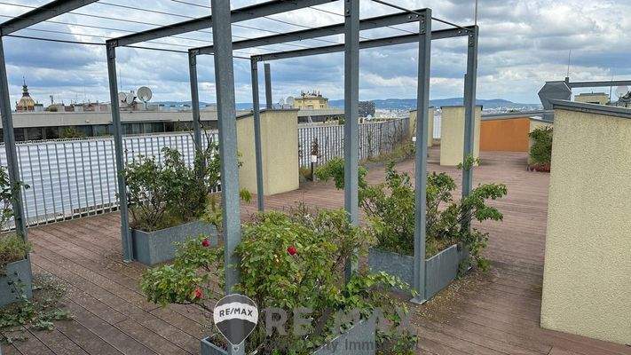 13 Gemeinschaftsdachterrasse