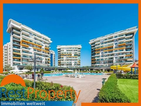 Alanya Wohnungen, Alanya Wohnung kaufen