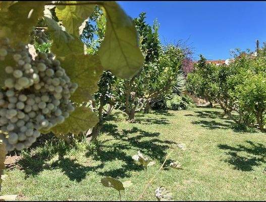 WhatsApp Image 2025-05-01 at 12.22.00.jpeg