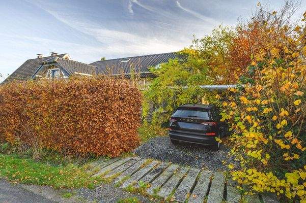 MDX_20251107_2435_lowres