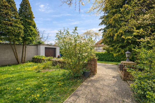Charmanter Vorgarten mit privatisierter Hofeinfahrt