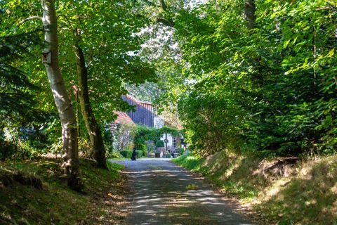 Högel Häuser, Högel Haus kaufen