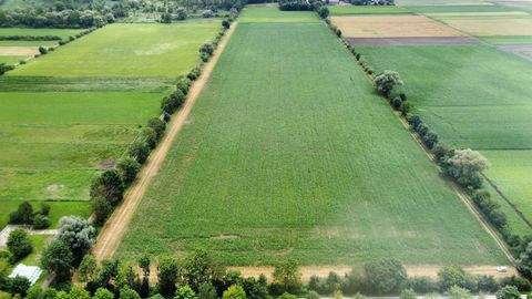 Ismaning Bauernhöfe, Landwirtschaft, Ismaning Forstwirtschaft