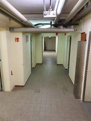 WhatsApp Image 2019-12-20 at 08.58.36.jpeg